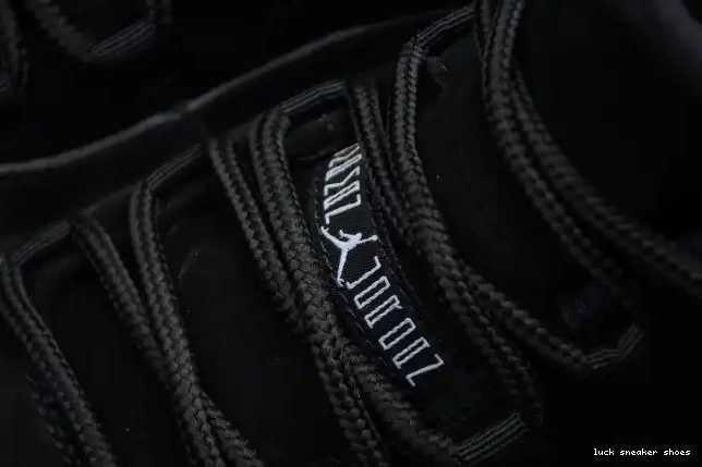 Rep LUCY 11 Jordan 